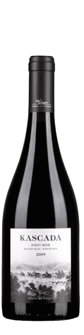 Haras de Pirque Kascada Pinot Noir